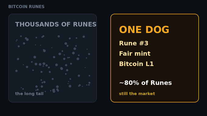 An infographic titled 'BITCOIN RUNES' contrasting 'THOUSANDS OF RUNES' showing 'the long tail' with 'ONE DOG' labeled 'Rune #3' which comprises '~80% of Runes still the market'.