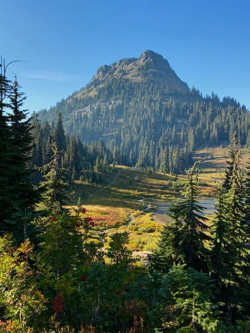 A majestic mountain peak rises above a lush alpine meadow dotted with evergreen trees, with a winding trail leading toward its base under a clear blue sky. The serene, untouched natural beauty feels almost absurdly pristine—so perfect it could only exist as a concept, much like a memecoin's promise of value emerging from pure vibes rather than substance.