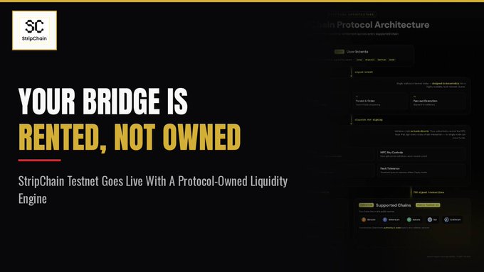 StripChain promotional banner reading 'YOUR BRIDGE IS RENTED, NOT OWNED' announcing their Testnet launch with a protocol-owned liquidity engine.
