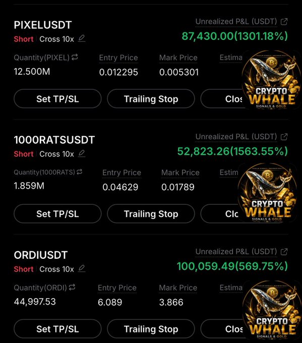 A crypto trading interface lists short positions including PIXELUSDT, 1000RATSUSDT, and ORDIUSDT, with green unrealized P&L figures and “Crypto Whale Signals & Gold” watermarks.