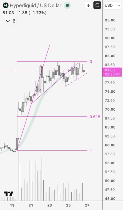 A candlestick chart of Hyperliquid (HYPE/USD) shows the price at 81.03, up 1.73%, with technical analysis overlays including a green moving average ribbon and a magenta "c fork" pattern between the 0.618 (~66) and 1 (~57) Fibonacci levels, illustrating the token's strong rally and current battle against overhead resistance near the 0 level (~85).
