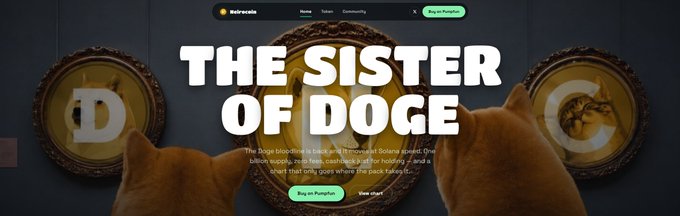 A webpage titled 'THE SISTER OF DOGE' for a project called Dolly Coin, featuring coins marked with D, O, and G alongside cat imagery.