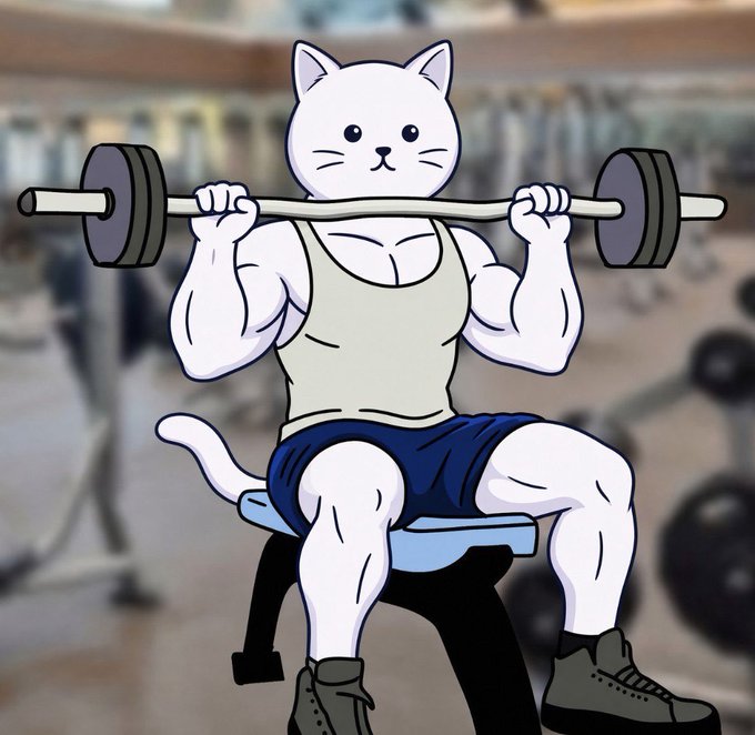 A cartoon illustration of a muscular white cat wearing a tank top and shorts, lifting a heavybarbell while seated on a gym bench.