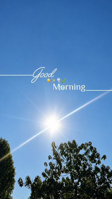 A bright sun shines in a clear blue sky above some trees, overlaid with the text 'Good Morning' and a sun emoji.