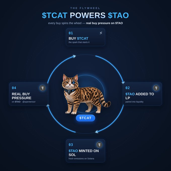 An infographic titled "THE FLYWHEEL" showing how "$TCAT POWERS $TAO" through a four-step cycle—buying $TCAT, adding $TAO to liquidity pools, minting $TAO on Solana, and applying real buy pressure to $TAO on Opentensor—centered around an image of a Bengal cat labeled "$TCAT." The visual reinforces the post's claim that $TCAT on the Solana blockchain generates $TAO rewards, illustrating the token's flywheel mechanism.