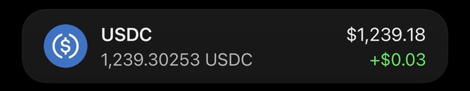 A digital wallet display showing a USDC balance of 1,239.30253 USDC valued at $1,239.18, with a positive change of +$0.03.