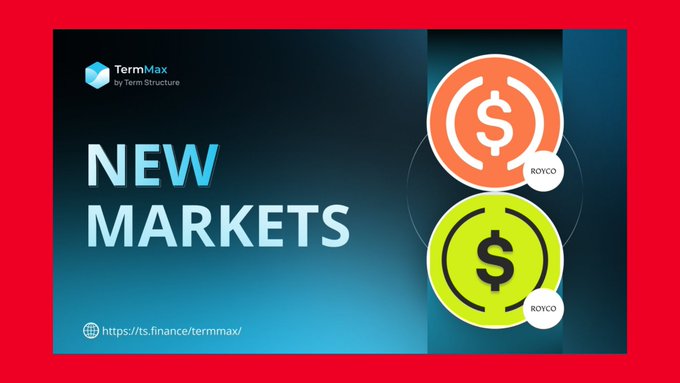 A promotional graphic for 'TermMax by Term Structure' announcing 'NEW MARKETS' with two dollar sign tokens labeled 'ROYCO' and a link to https://ts.finance/termmax/