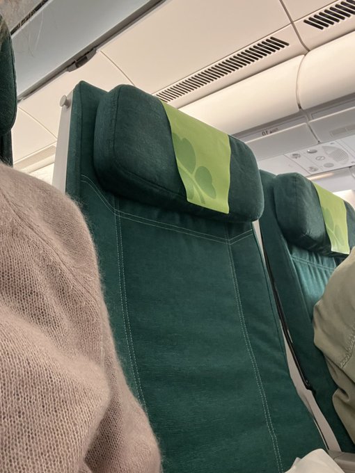 An airplane cabin interior showing green fabric seats with green headrest covers featuring a leaf-like logo, with a passenger's leg visible in the foreground.