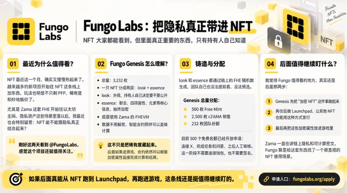 An informational infographic about Fungo Labs titled '把隐私真正带进NFT' (Bringing True Privacy to NFTs), detailing Fungo Genesis features, minting distribution (500 Free Mint, 2,500 for cZAMA sale, 232 team allocation), and future plans including an encryption NFT launchpad.