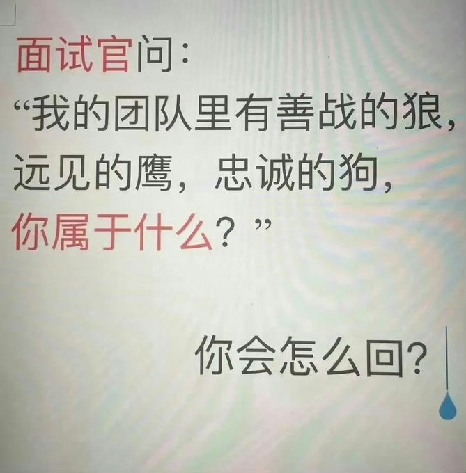 A Chinese interview meme that reads: '面试官问："我的团队里有善战的狼，远见的鹰，忠诚的狗，你属于什么？" 你会怎么回？' (Interviewer asks: 'My team has a fierce wolf, a visionary eagle, a loyal dog, which are you?' How would you reply?)