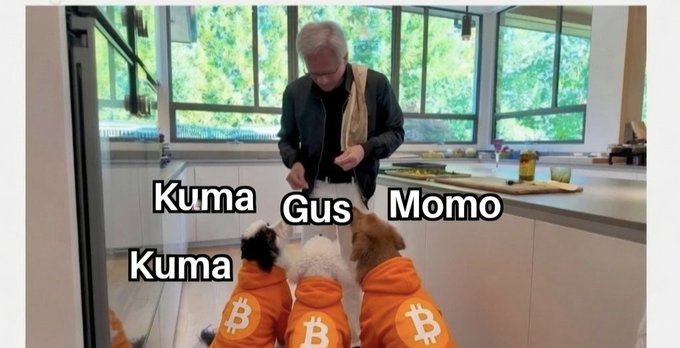 A meme image showing a man feeding four small dogs, all wearing orange Bitcoin-logo hoodies and labeled "Kuma," "Gus," "Momo," and "Kuma."