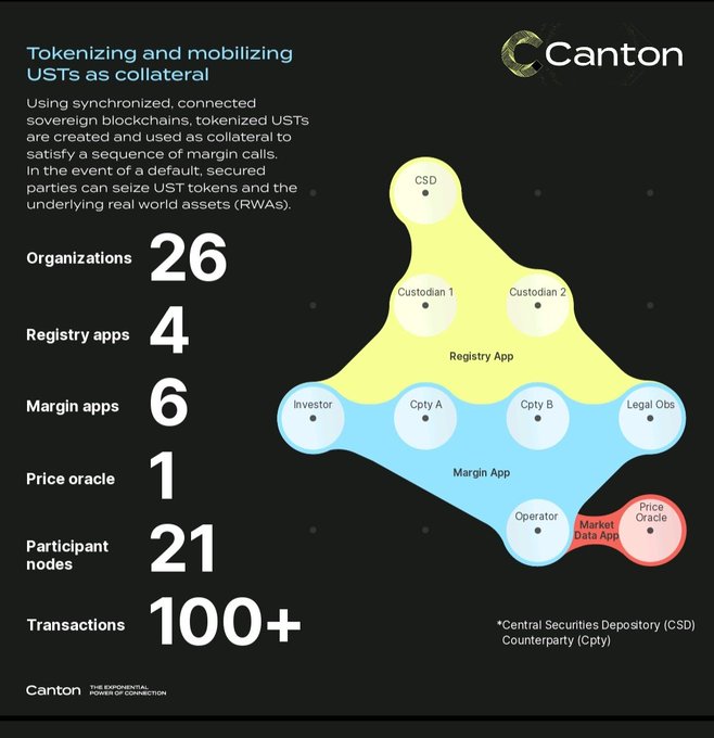 An infographic from Canton titled 'Tokenizing and mobilizing USTs as collateral' showing statistics including 26 Organizations, 4 Registry apps, 6 Margin apps, 1 Price oracle, 21 Participant nodes, and 100+ Transactions across a network diagram.