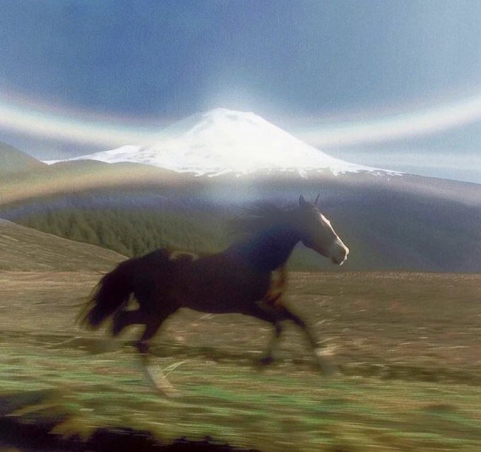 The image features a horse running across a field with mountains in the background. The scene captures the motion of the horse as it gallops through the open space. The photo has been edited or photoshopped to include elements from other social media platforms, such as Instagram and TikTok, which adds an interesting visual effect to the image. This creative editing gives the impression that the horse is running in front of a rainbow, creating a unique and captivating scene for viewers.