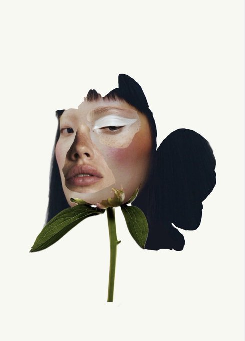 A surreal digital collage featuring a cutout of a woman's face merged with a pink rose bloom and green stem against a white background, with a black silhouette shape behind the flower.