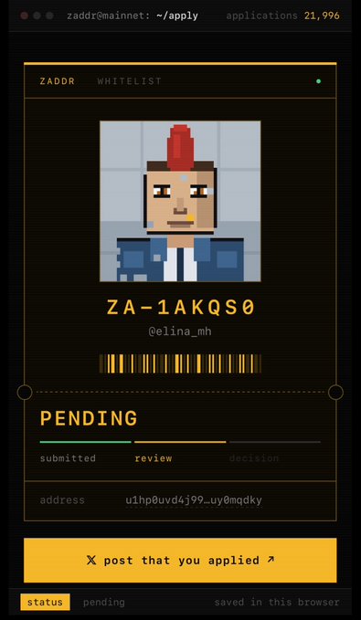 A screenshot of a ZADDR Whitelist application status showing a Minecraft-style pixel art avatar, the username '@elina_mh', ID 'ZA-1AKQS0', and a 'PENDING' status.