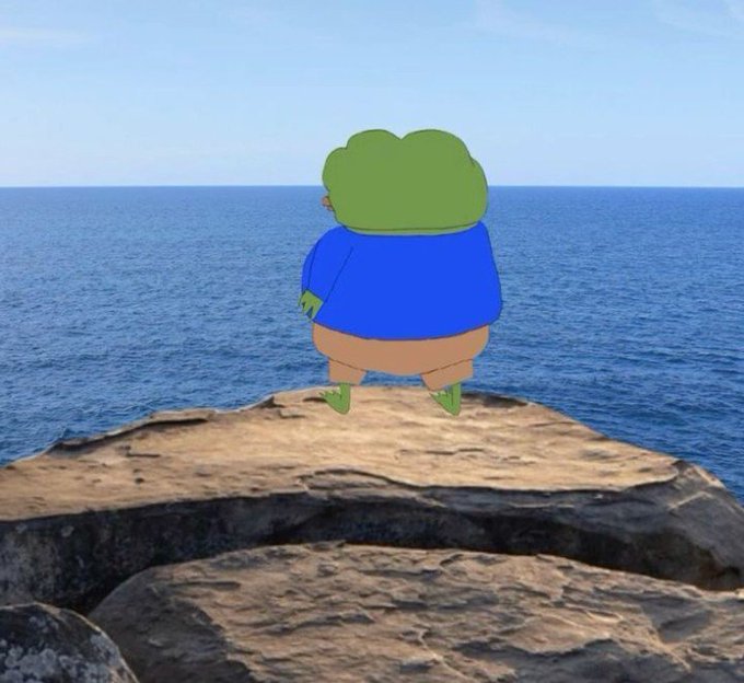 A cartoon frog character wearing a blue shirt and brown pants stands on a rocky cliff overlooking the ocean.