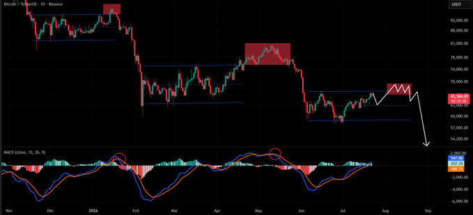 Bitcoin/USDT daily candlestick price chart from Binance showing price action from late 2023 through August 2024 with technical analysis markings including support/resistance levels and a projected downward trend arrow, with MACD indicator below