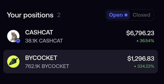 A portfolio screenshot showing "Your positions" with two open holdings: 38.1K CASHCAT worth $6,796.23 (▲36.54%) and 762.1K BYCOCKET worth $1,296.83 (▲334.23%), illustrating the gains mentioned in the post.