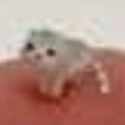 A low-resolution, blurry image of a small white kitten with dark eyes looking at the camera.