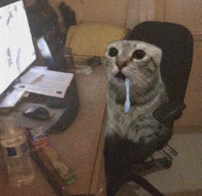 A tabby cat sits in an office chair with a blue toothbrush hanging out of its mouth, with a computer monitor and desk items visible in the background. The image humorously relates to the "good meow" caption by playing on the cat's open-mouthed, almost smiling expression as it poses for the camera.