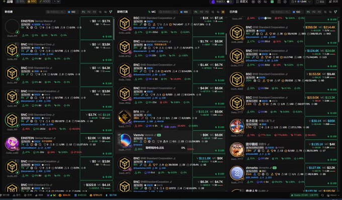 A dashboard displaying multiple cryptocurrency market trackers in Chinese, prominently featuring BNB BNB Standard Corporation entries across various tabs, along with other tokens like EINSTEIN, BFA, SPK, with values ranging from around $3.1K to $219K.