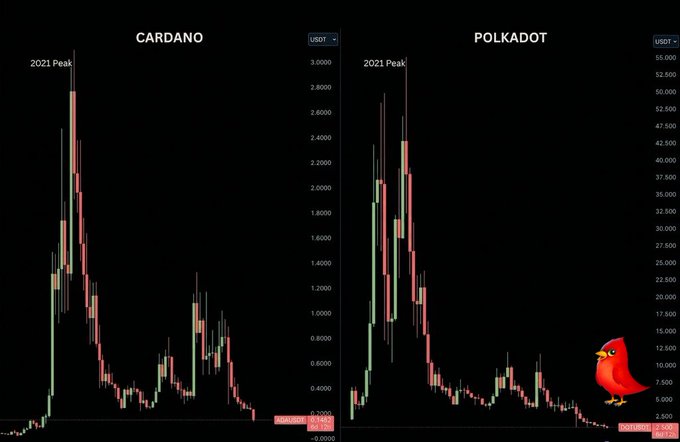 A side-by-side candlestick chart comparing Cardano (ADA) and Polkadot (DOT) price action, highlighting their "2021 Peak" with ADA reaching above $3,000 on its y-axis and DOT reaching above $55,000, alongside a cartoon red cardinal bird on the right side.