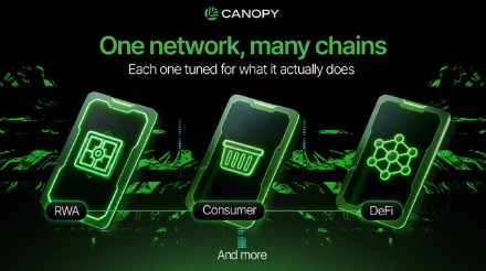 Canopy promotional graphic with the tagline 'One network, many chains' showcasing three categories: RWA, Consumer, and DeFi.