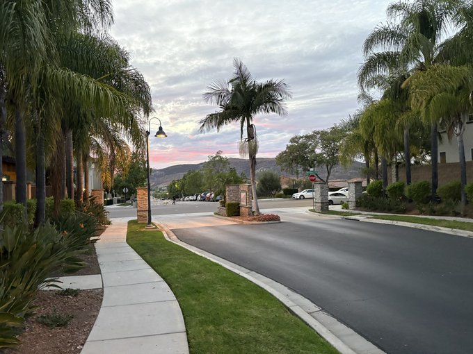 A suburban street lined with tall palm trees, a manicured green lawn, and a pink sunset sky over distant mountains.
