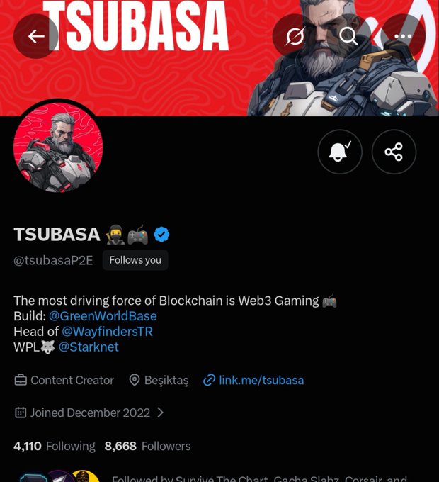 A Twitter/X profile for 'TSUBASA' (@tsubasaP2E) describing themselves as building Web3 Gaming, head of @WayfindersTR, with 8,668 followers.
