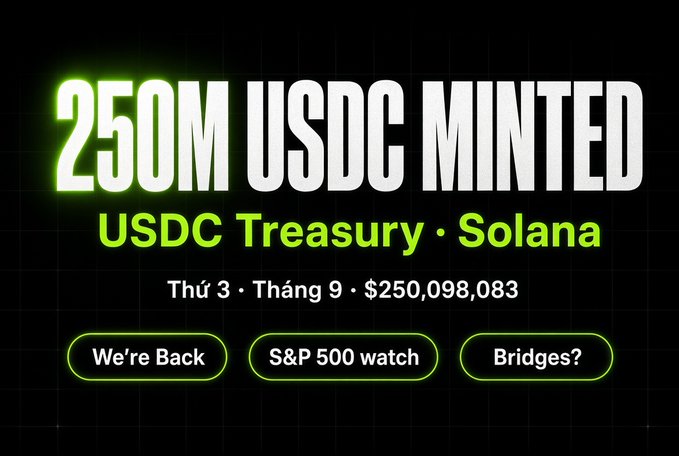 Digital graphic showing '250M USDC MINTED' from USDC Treasury on Solana, dated 'Thứ 3 · Tháng 9 · $250,098,083', with tags 'We're Back', 'S&P 500 watch', and 'Bridges?'.