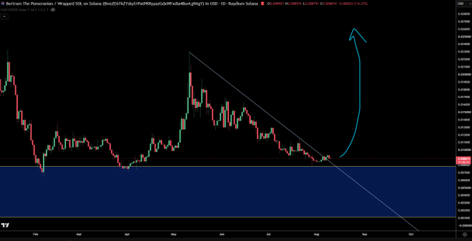 A Bitcoin/USD (BERTSCRYPT) chart on Raydium Solana displays a descending triangle pattern, with a hand-drawn blue arrow projecting a significant upward breakout from the $0.0000010 support zone toward higher targets, suggesting bullish momentum for the BERT token.