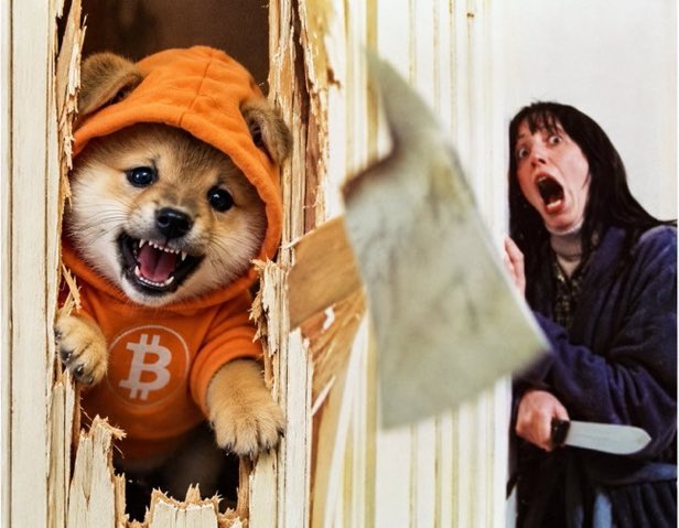 A humorous photo of a Shiba Inu dog wearing an orange Bitcoin hoodie peering through a broken wooden door, appearing to scare a woman in a purple robe who is holding a knife.