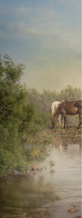 A serene landscape photograph or painting showing a brown and white horse grazing near a calm body of water, surrounded by green bushes under a pale sky.