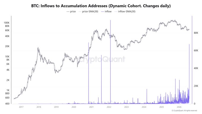 This CryptoQuant chart titled "BTC: Inflows to Accumulation Addresses (Dynamic Cohort. Changes daily)" displays Bitcoin price (gray) overlaid with daily inflow volumes (blue) from 2017 through 2026, showing a dramatic spike at the far right edge reaching the highest inflow level of the entire cycle. The data visually supports the post's claim, as the rightmost blue bar towers above all previous accumulation events—including notable spikes around 2021—confirming that whales have just moved an unprecedented amount of BTC into accumulation addresses despite price uncertainty near $70K-80K.
