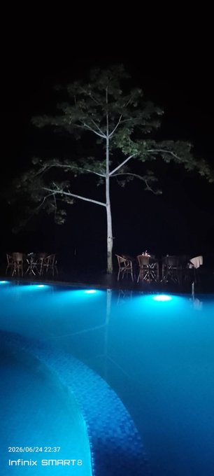 A nighttime photo of a swimming pool with glowing blue underwater lights, with a tall tree silhouetted against the dark sky and patio furniture in the background.