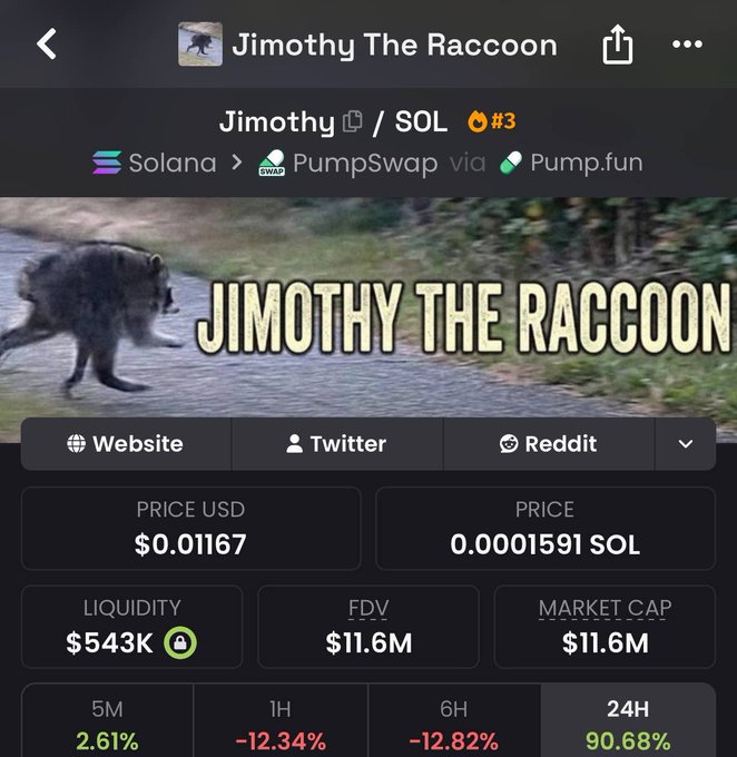 A cryptocurrency token page for 'Jimothy The Racoon' on the Solana blockchain via PumpSwap, priced at $0.01167, shows a 24-hour price increase of 90.68% with a market cap of $11.6M.