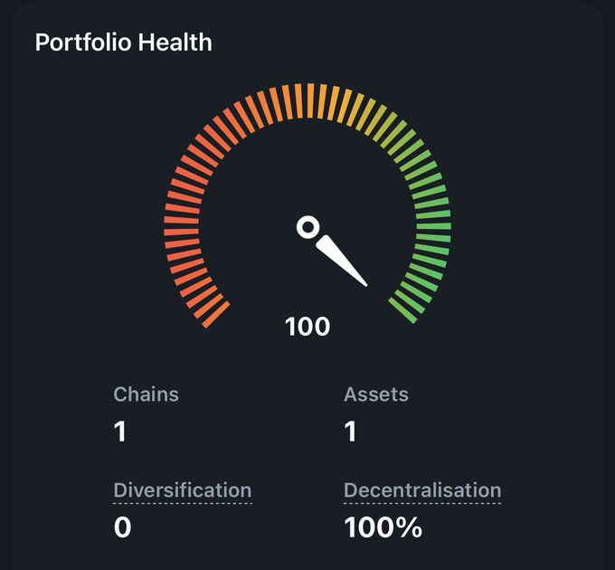 A 'Portfolio Health' dashboard with a gauge meter showing a score of 100, indicating Chains: 1, Assets: 1, Diversification: 0, and Decentralisation: 100%.