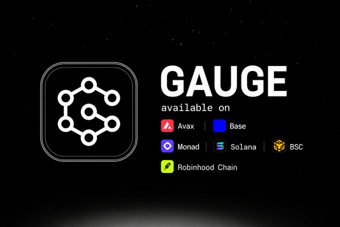 A promotional graphic with the text 'GAUGE available on' listing various blockchain networks including Avax, Base, Monad, Solana, BSC, and Robinhood Chain next to a network icon.