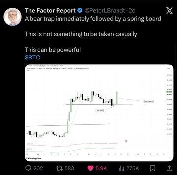 A screenshot of a tweet by @PeterLBrandt stating 'A bear trap immediately followed by a spring board', accompanied by a TradingView chart of $BTC.