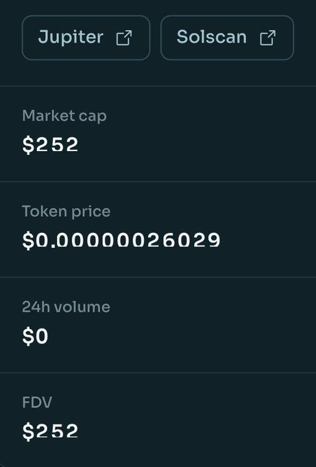 A dark-themed cryptocurrency app screen displays stats for 'Jupiter' and 'Solscan' with a market cap of $252.