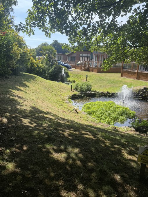 A sunny outdoor view of a grassy area with a small pond featuring a fountain, surrounded by trees and leading toward a building with a wooden deck in the background.