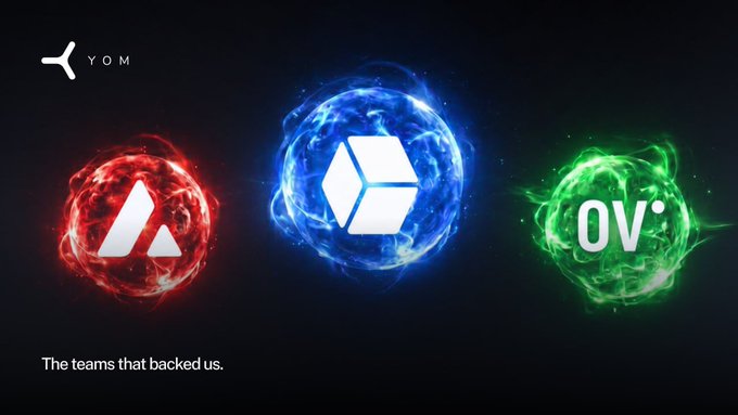 The image features three different logos for companies named @Avalanche FDN, @borderless_cap, and @oviohq Quality Partners. The logos are displayed against a black background with blue, red, and green colors. The text "The teams that backed us" is written in white at the bottom of the image.