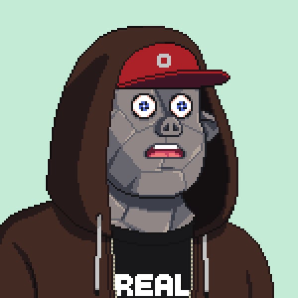 A pixel art portrait of a gray-skinned character wearing a brown hood, a red cap with an 'O' logo, and a shirt reading 'REAL', with wide blue eyes and an open mouth.