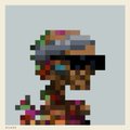 A low-resolution pixel art sprite of a character wearing a white cap and a colorful patterned shirt.