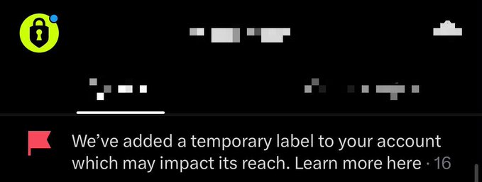 A TikTok notification screenshot showing a warning: 'We've added a temporary label to your account which may impact its reach.'