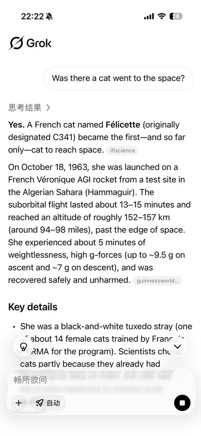 A screenshot of a Grok AI chatbot conversation where a user asks "Was there a cat went to the space?" and the AI responds about Félicette, the first cat in space, launched on October 18, 1963.