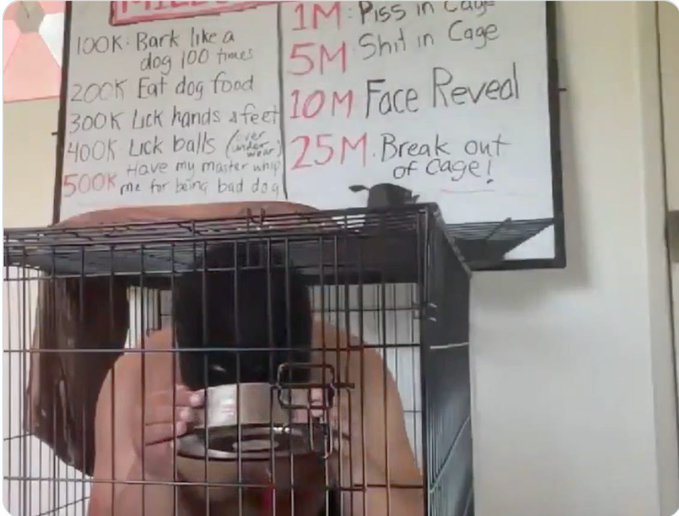 The image shows a person wearing only their underwear, sitting inside a cage that has a sign attached to it. The sign displays information about the pump fun game, including details such as the maximum number of balls allowed per minute (500), the maximum time allowed for the game (10 minutes), and the maximum number of balls allowed in the cage (25). Additionally, there is a warning on the cage stating that "face reveal" is not allowed. The person inside the cage appears to be playing the pump fun game with a cup attached to it, possibly as part of an experiment or challenge related to the game's rules and restrictions.

The image also contains text about a new update for the pump fun game, which might involve changes in gameplay mechanics or additional features.