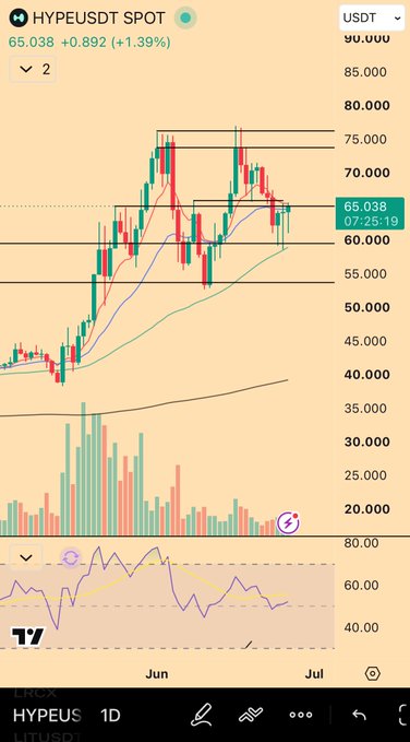 A daily candlestick chart of HYPE/USDT on the spot market shows the token trading at 65.038, up +1.39% (+0.892), with price action consolidating between roughly 60 and 75, accompanied by an RSI indicator and a "Don't be shy" caption encouraging viewers to take notice of the setup.