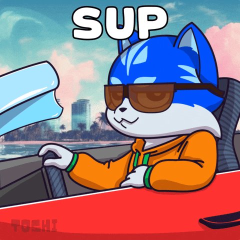 The image features a cartoon cat wearing sunglasses and an orange shirt driving a red car with the caption "SUP" written above him. The text also includes the words "TOSHI fam", which could be a reference to the artist or creator of this image, and "Let's make today count".