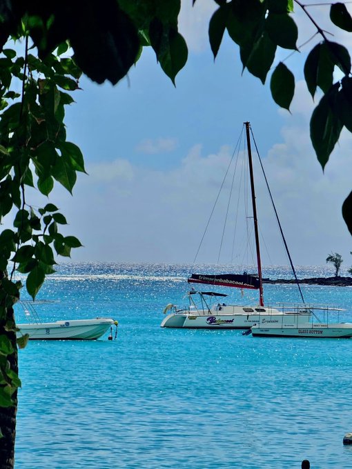 A catamaran with "GRAND BOTTOM" and "www.grandbayboats.com" printed on its hull, along with a smaller motorboat, sit anchored in crystal-clear turquoise waters, framed by lush green leaves. The scene perfectly captures the post's theme of escaping to a tropical paradise for a much-needed break, trading city life and crypto talk for sun, sea, and sailing.
